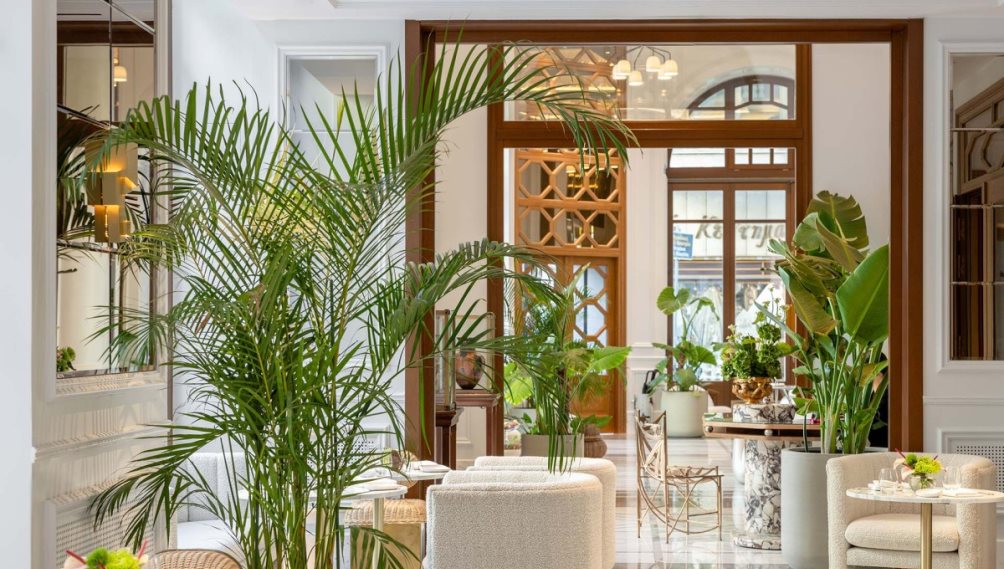 The Dolli at Acropolis, A Hotel to Live